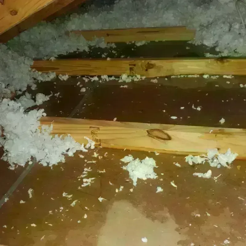 Attic Water Damage in Rutland, VT